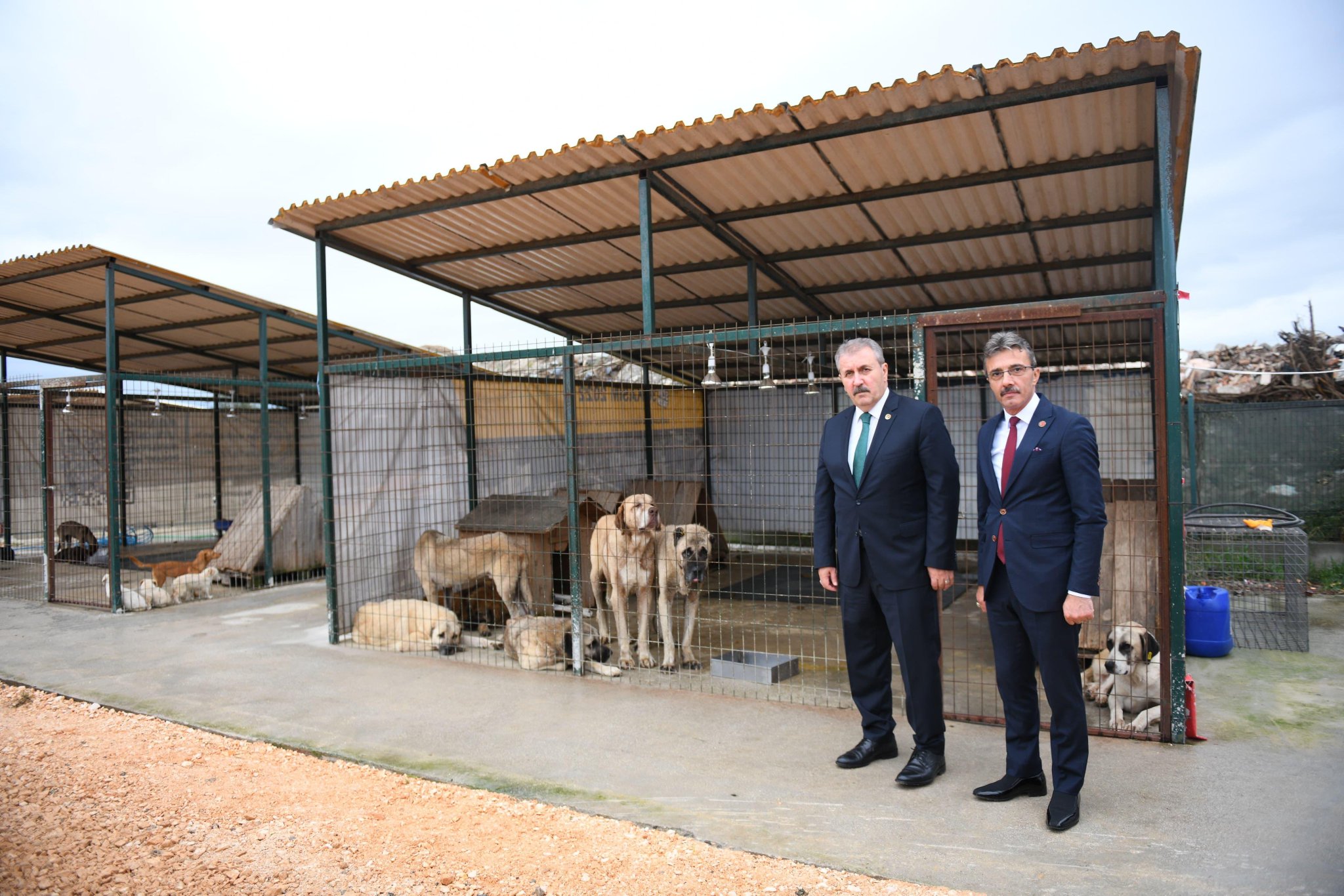 ERENLER BELEDİYESİ SOKAK HAYVANLARI GEÇİCİ BARINMA MERKEZİ AÇILDI